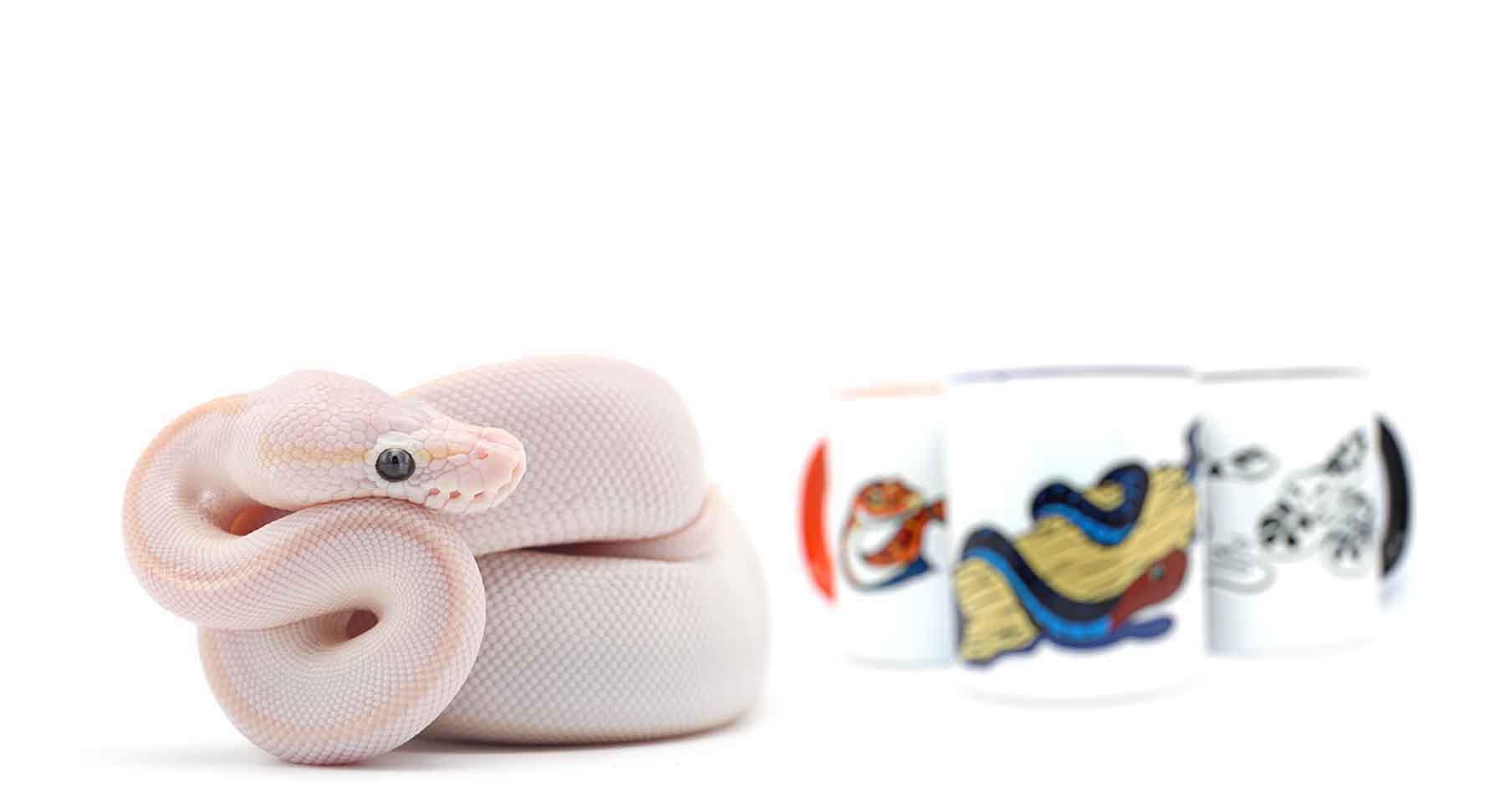 Mugs