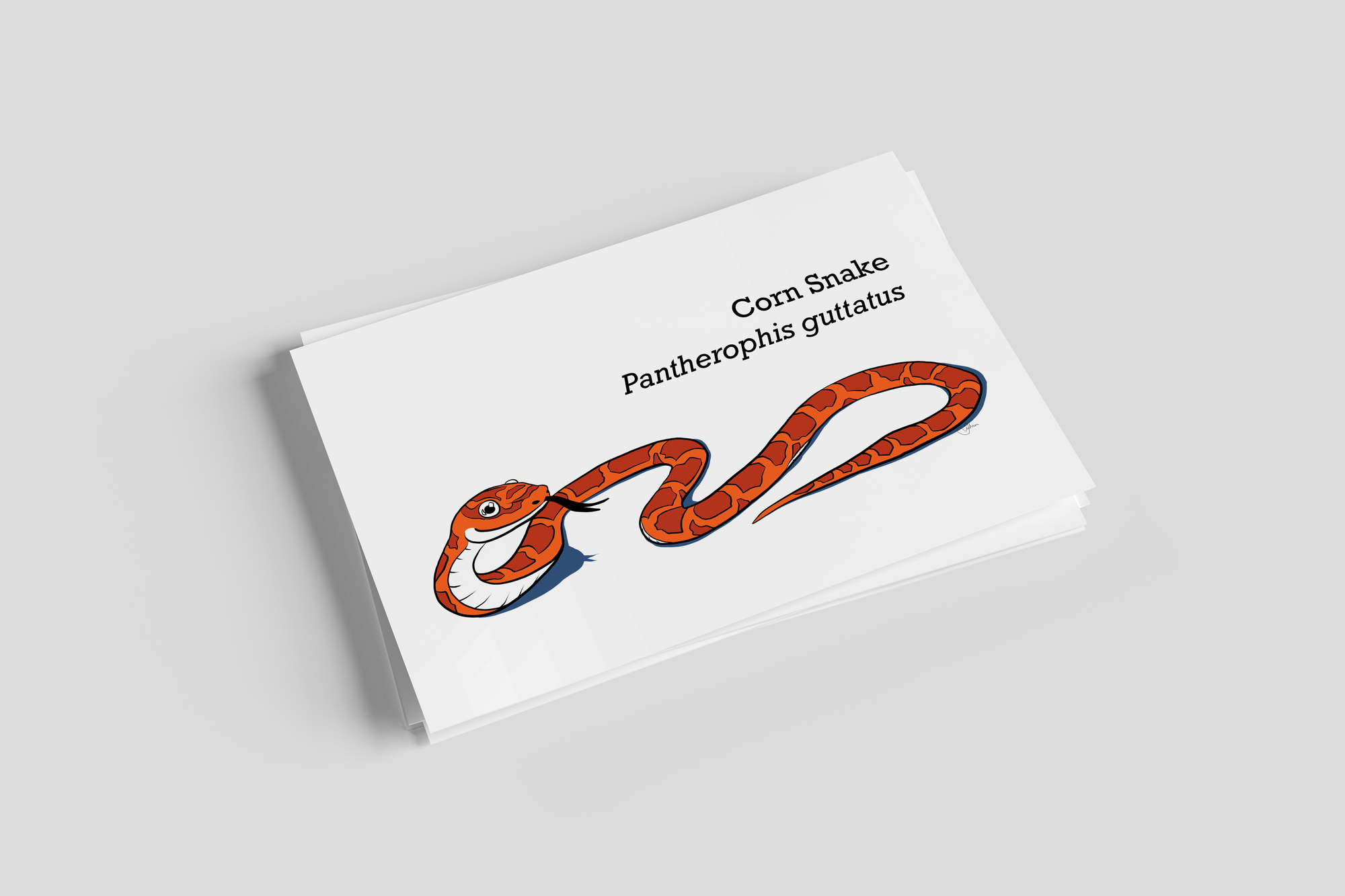 Corn Snake Postcard