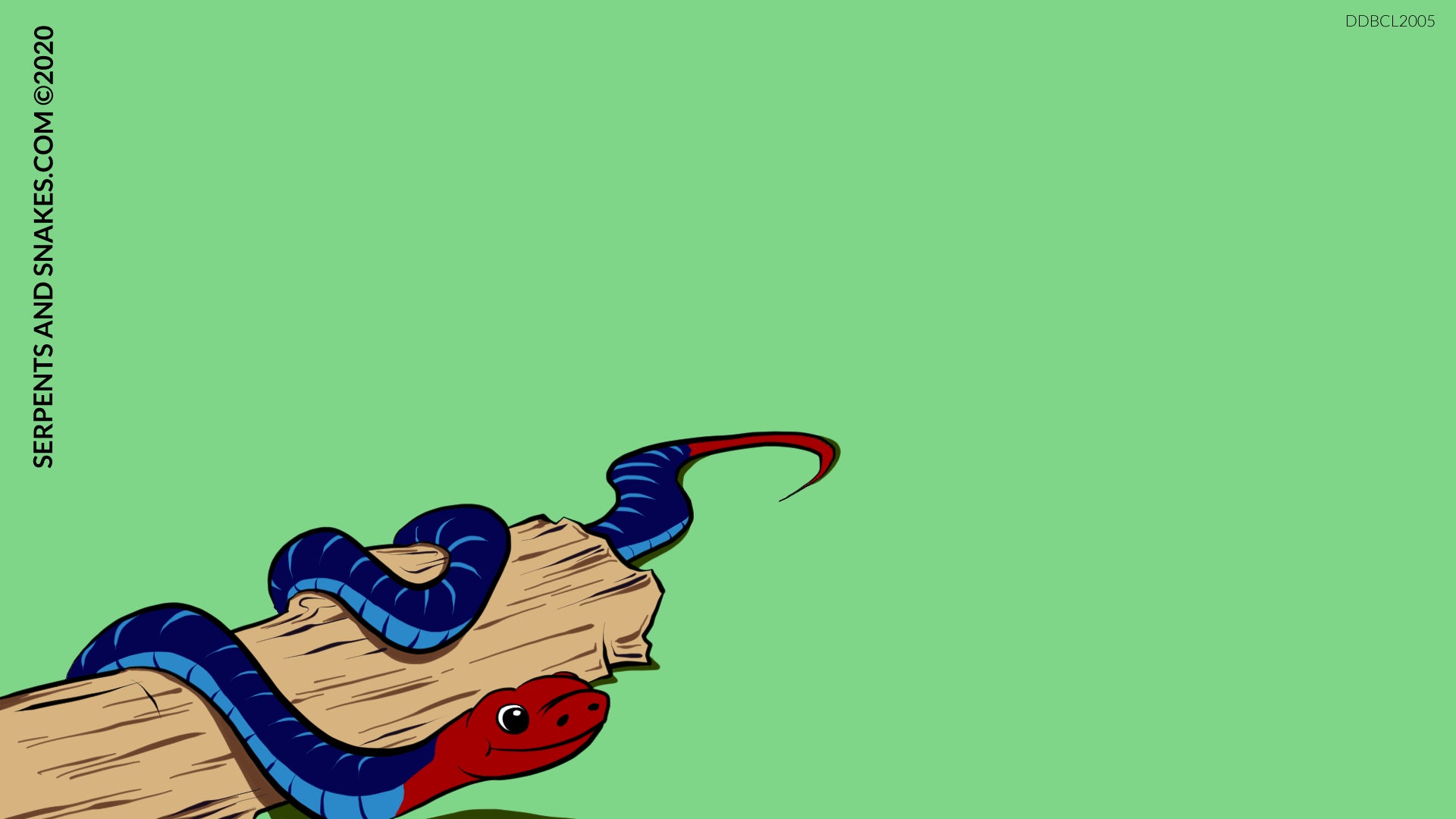 Digital background. The background colour is a solid green. In the lower left corner is a smiling cartoon blue coral snake. Its head and tail are red. The upper body is dark blue and the underside is light blue. The snake is draped over a jagged piece of wood. Created by Serpents and Snakes. Copyright 2020.